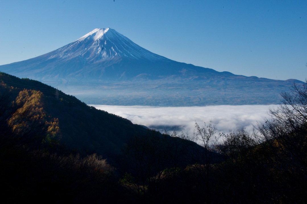 Thumb 45918660 14e1 498a bec9 c416f4adb461