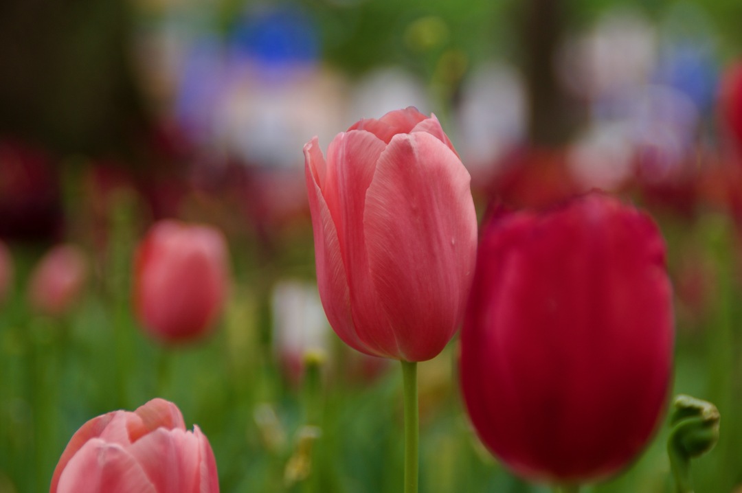 Thumb d07f9c95 4463 4d6e b376 d5dd18f88d43