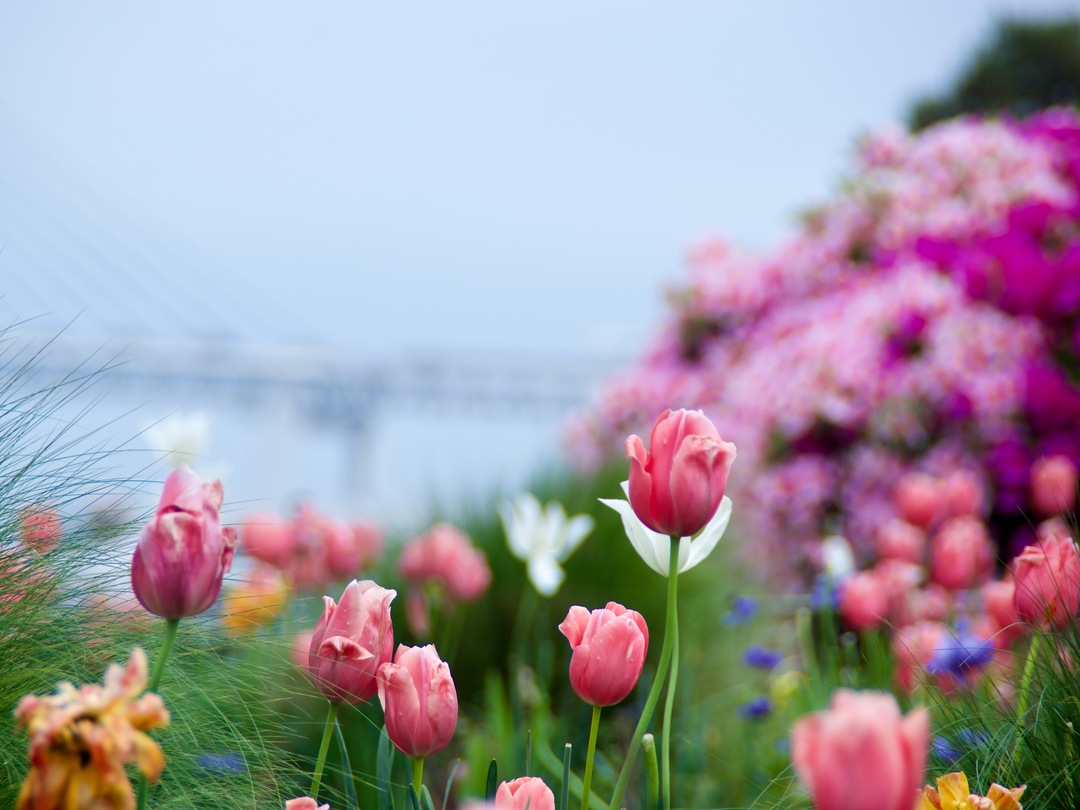 Thumb 757c3ac8 9cf3 4765 a703 775b0a6acc9c