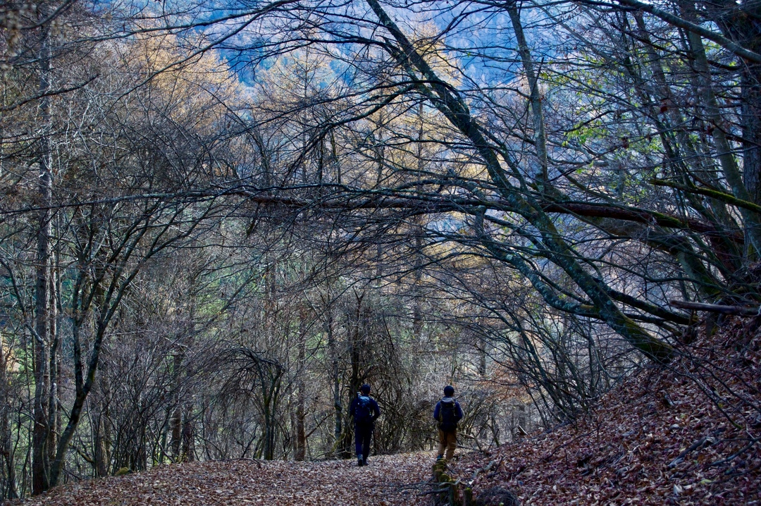 Thumb a6f4e6b9 d7cf 47f1 a172 8d1a9d62786e