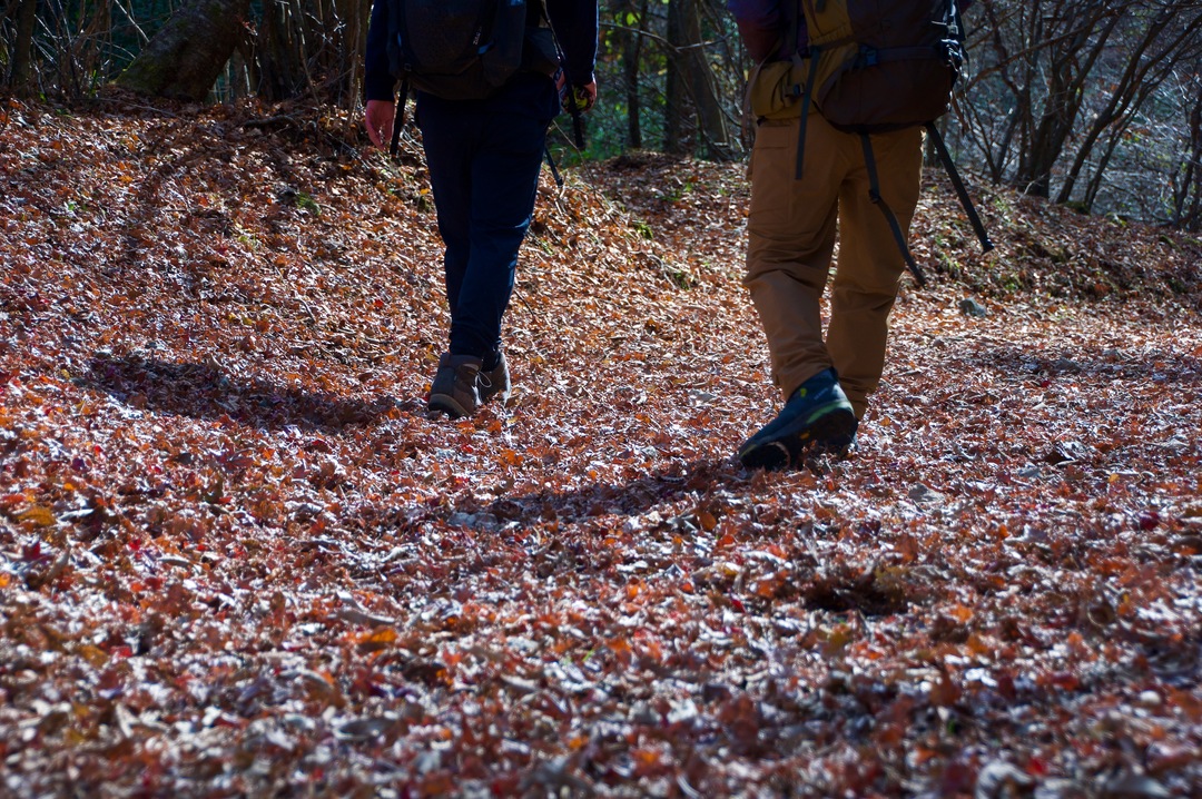 Thumb 75c908a1 e213 43f5 aa3b c4e0eb1a5490