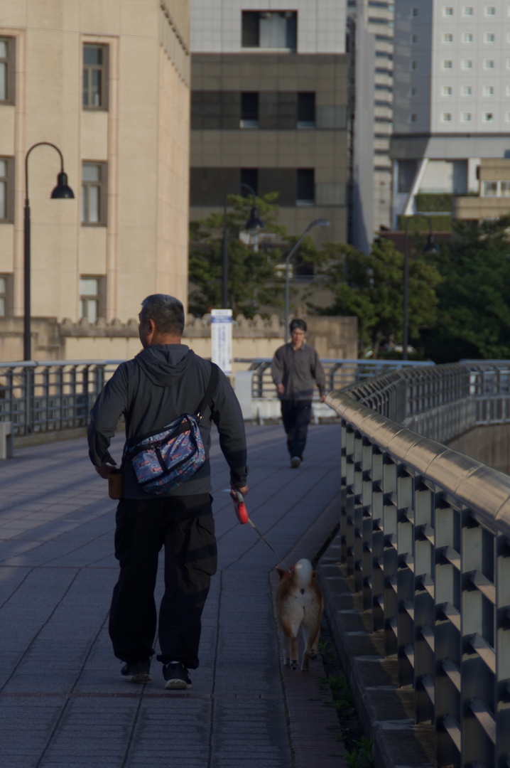 Thumb 544a1c43 1efe 4526 844a 04bd2ee81e75