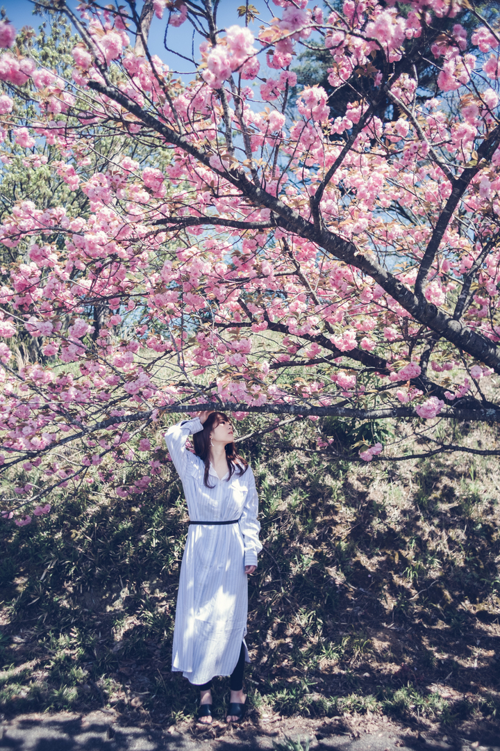 Thumb e8c49a10 771a 4aca 8cd3 5a982212297c