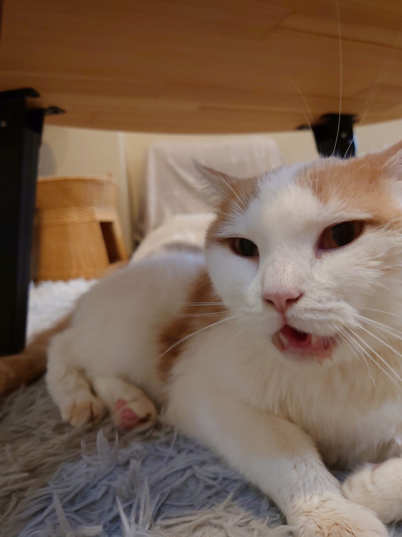 Thumb e1d9785b a635 4e5e a55f 1a1feaac09bd