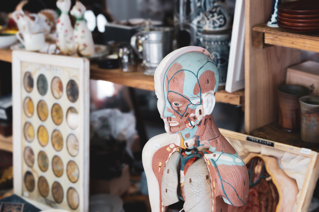 Thumb c9f0d01c fb4a 427f ac5f d5ed529869ab