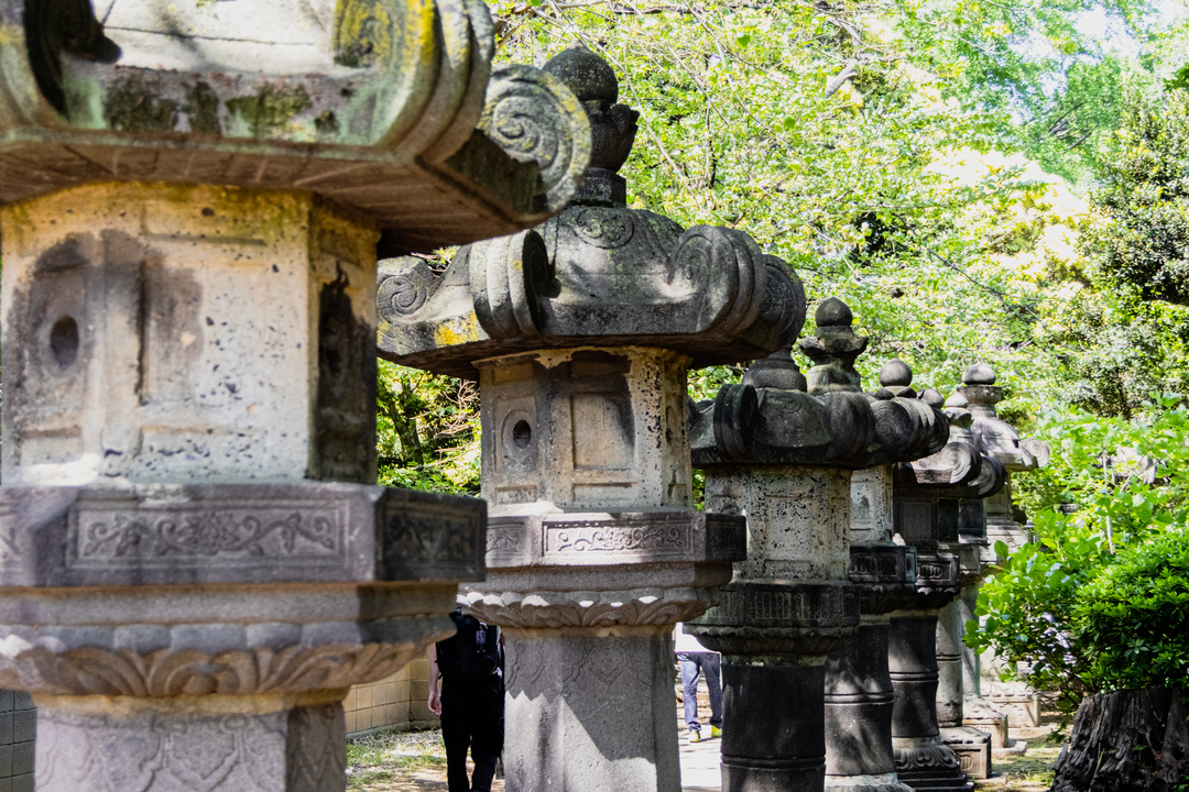 Thumb 86542504 7a5e 4fe8 8874 15998362c742