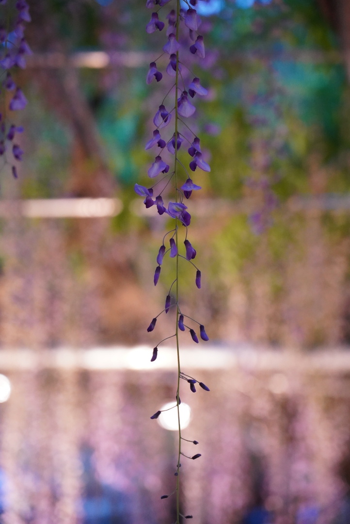 Thumb 97932673 ec62 4fa2 a490 2be64b2d29cf