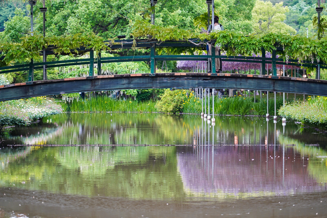 Thumb 8b53c93e d3ce 451d a2a6 337c5d556aca