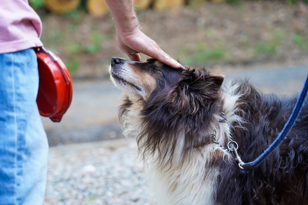 Thumb 82158e95 43ad 418d a838 64371a1a30d9