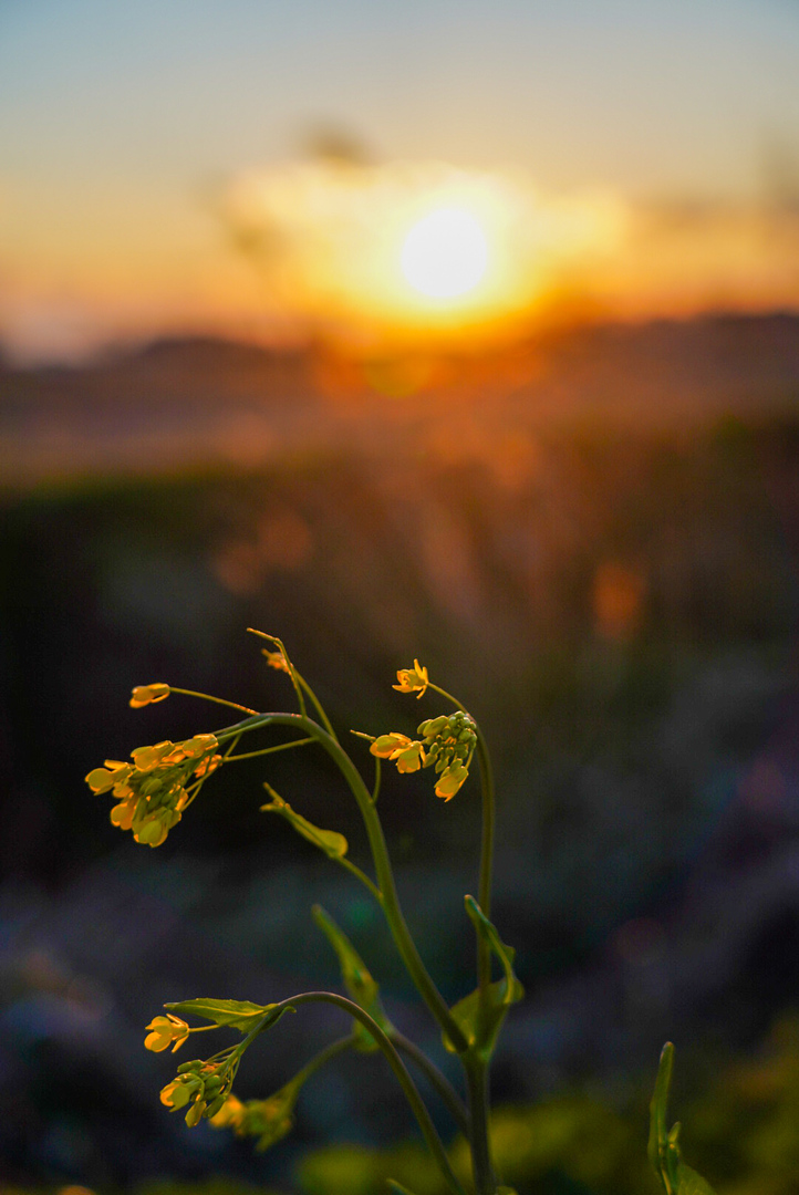 Thumb 50bfe329 e222 446c 9e0e e749a757c386