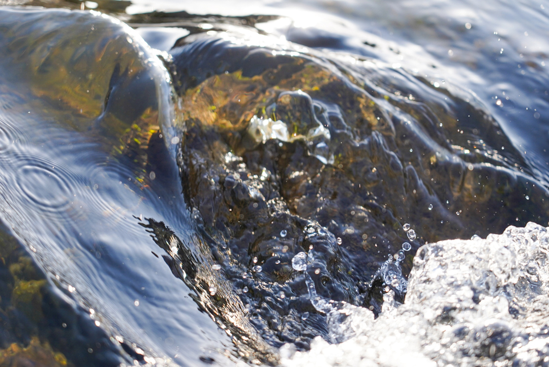 Thumb 62ae6642 a0fb 4d99 8bef 80097a88bf3e