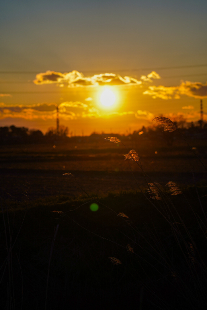 Thumb 30d7dd98 1c56 460d b350 926e6d1ed176