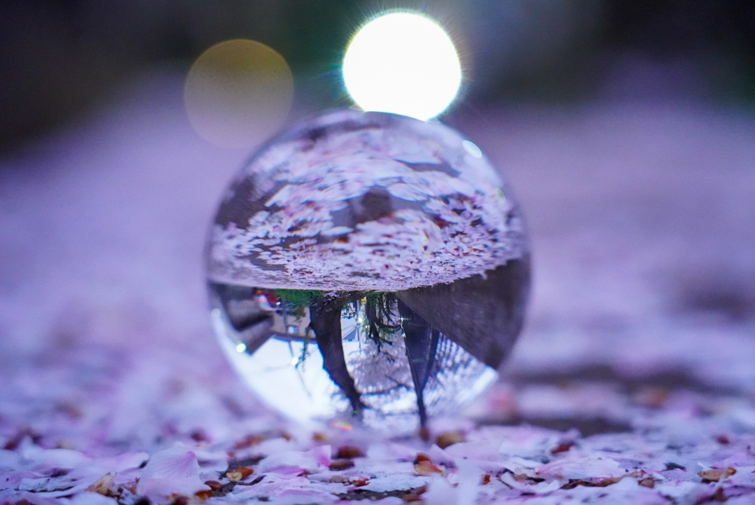 Thumb ac9d00b9 ccd9 44a7 a553 8451d2ccd51e