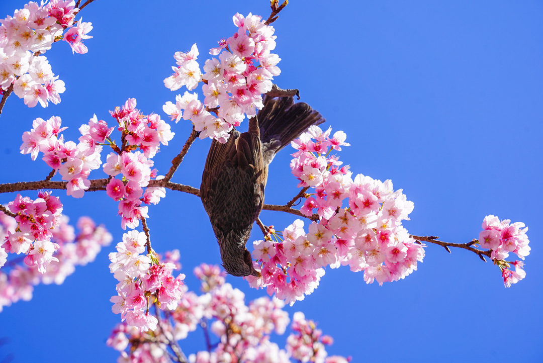 Thumb 8d6ce1c5 5022 43e0 b08c e34bb1a62992