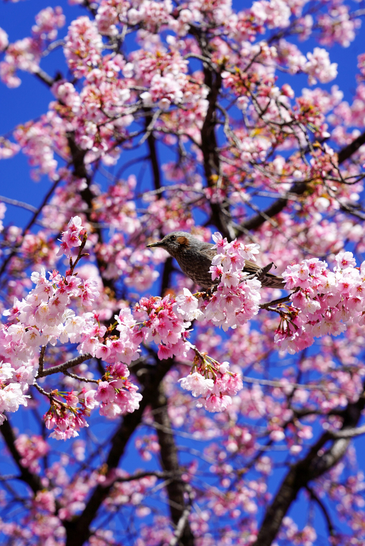 Thumb bfa30855 589a 400e ae9d eb875c15db0e