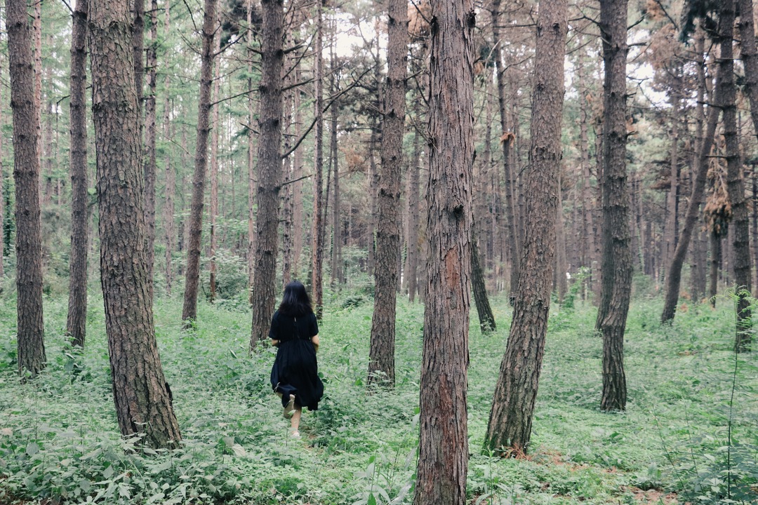 Thumb db2693ba 5cb6 48b7 ac39 0c3b73aa5cbe