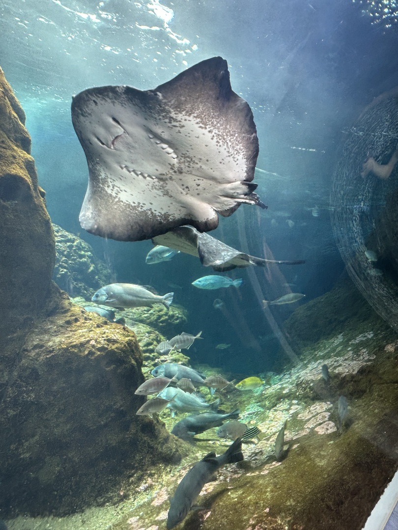 Thumb 3019f243 ee09 45f7 902c 66f958bc94b7