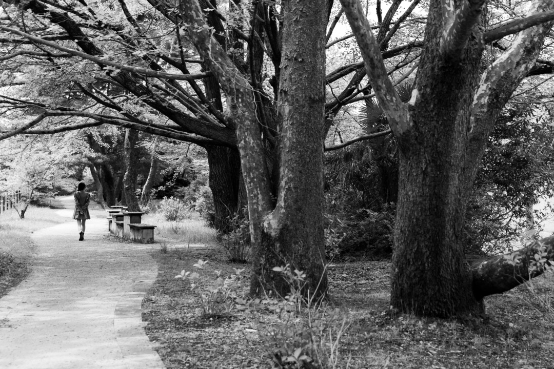 Thumb d65dc461 2563 4768 94a2 0c3ad9be2ac6