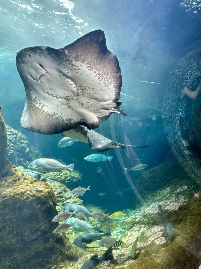 Thumb b75fcc72 28b8 4198 91ce ce59ff496d80