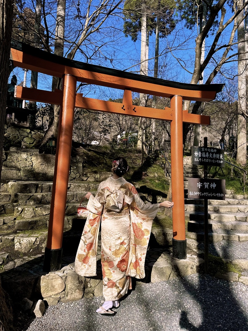 Thumb 2db9b216 e6d6 4f46 b223 208936bf445a