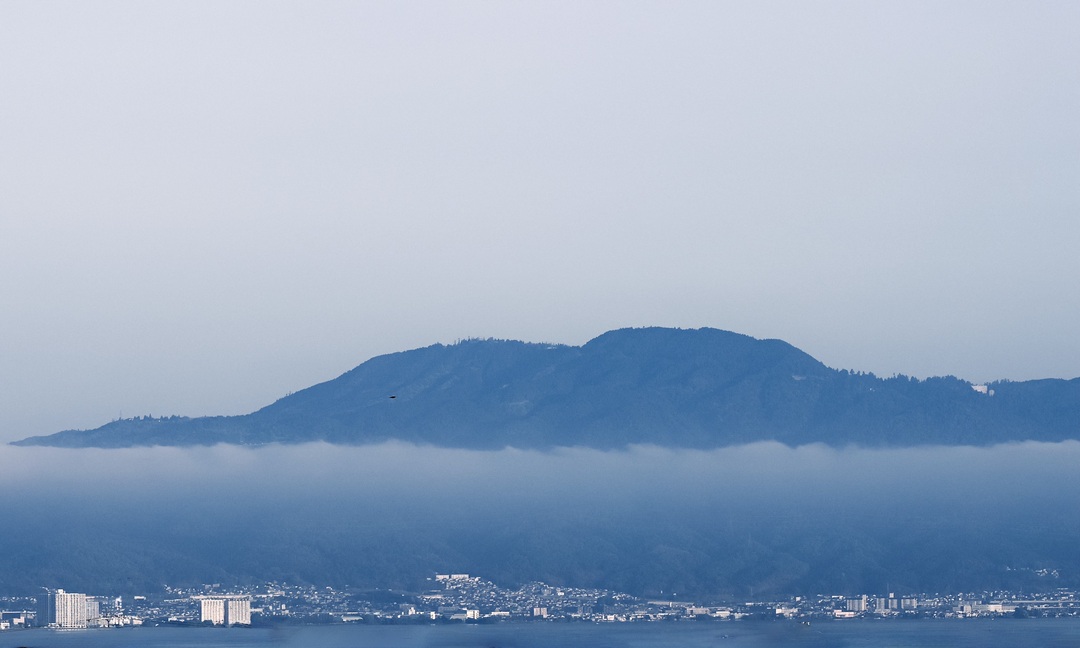 Thumb 1526c2e9 0411 48fa 862e 5124cd5b806e