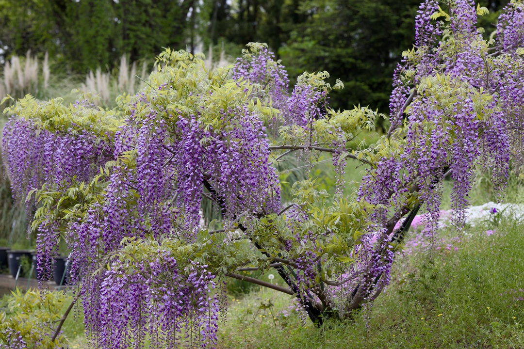 Thumb 6d3d6db3 2ce5 49ea bde9 13e339502738