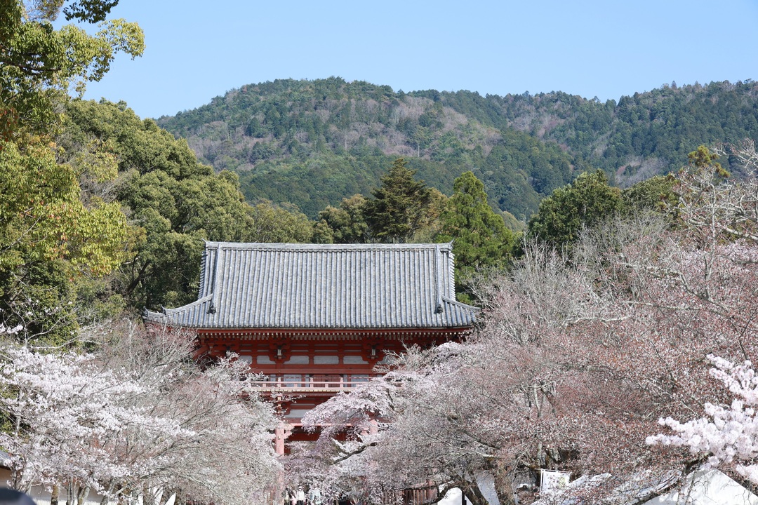 Thumb c77d6c37 37fc 4798 a476 b94be9dab331