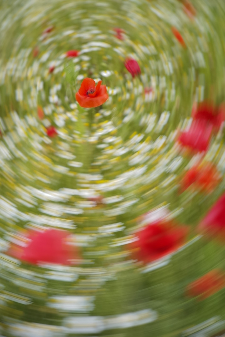 Thumb 109cca86 6a0c 4408 8c91 e1ae5cab8893