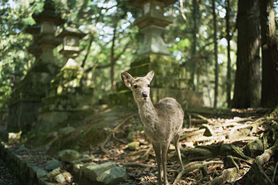 Thumb ee3e9045 54b0 45ed 8fb0 57a55fddf191