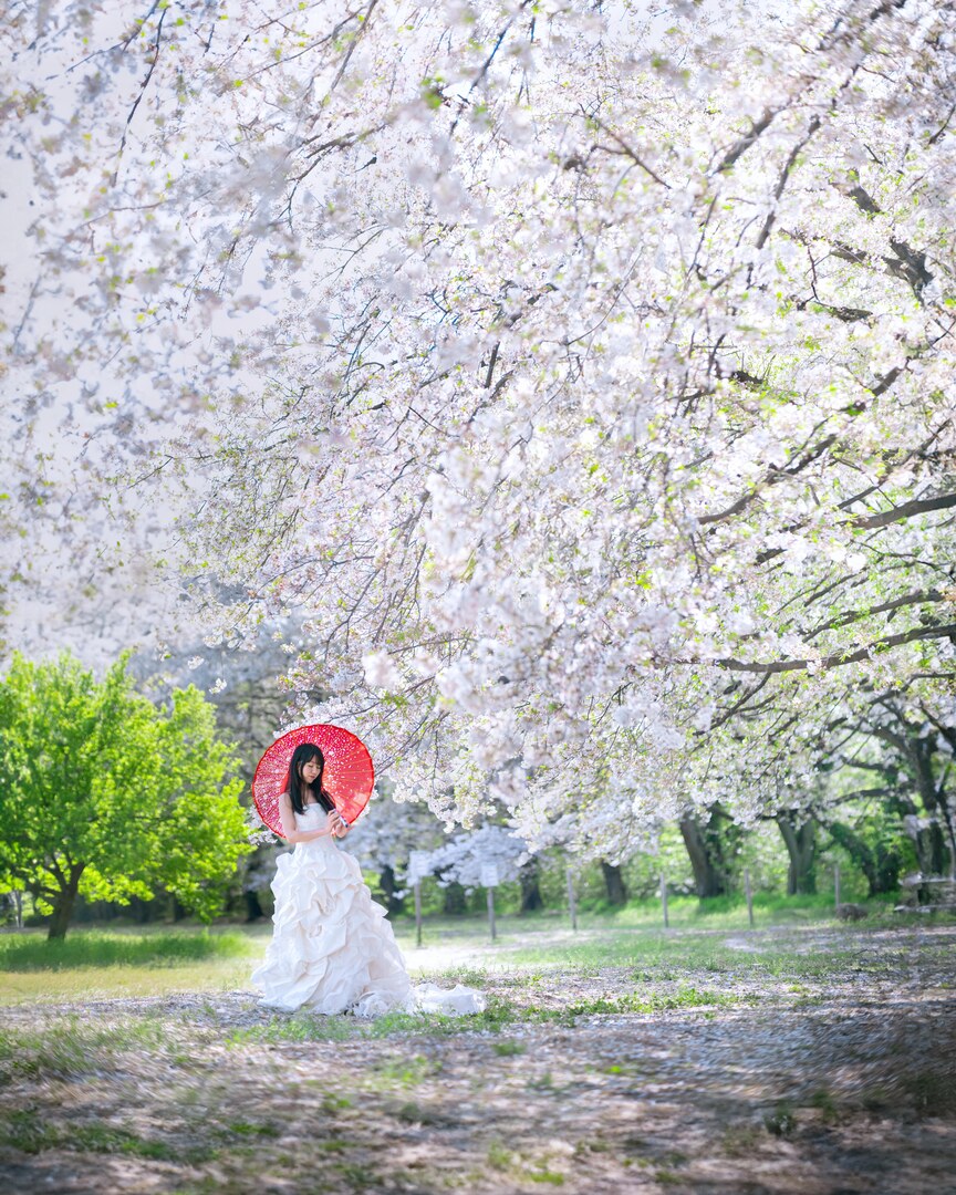 Thumb a0ccf699 6627 43a9 97f1 f6600450d560