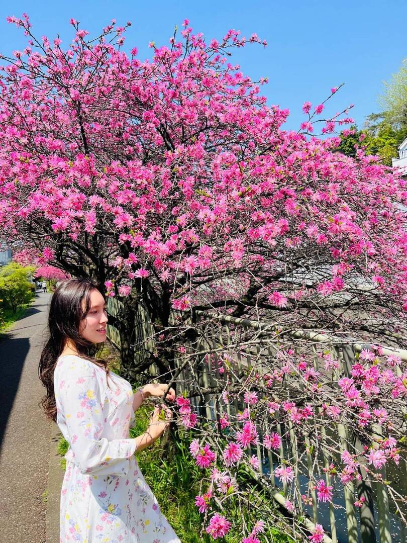 Thumb d27504c0 0584 4a11 bb73 1e8310851f44