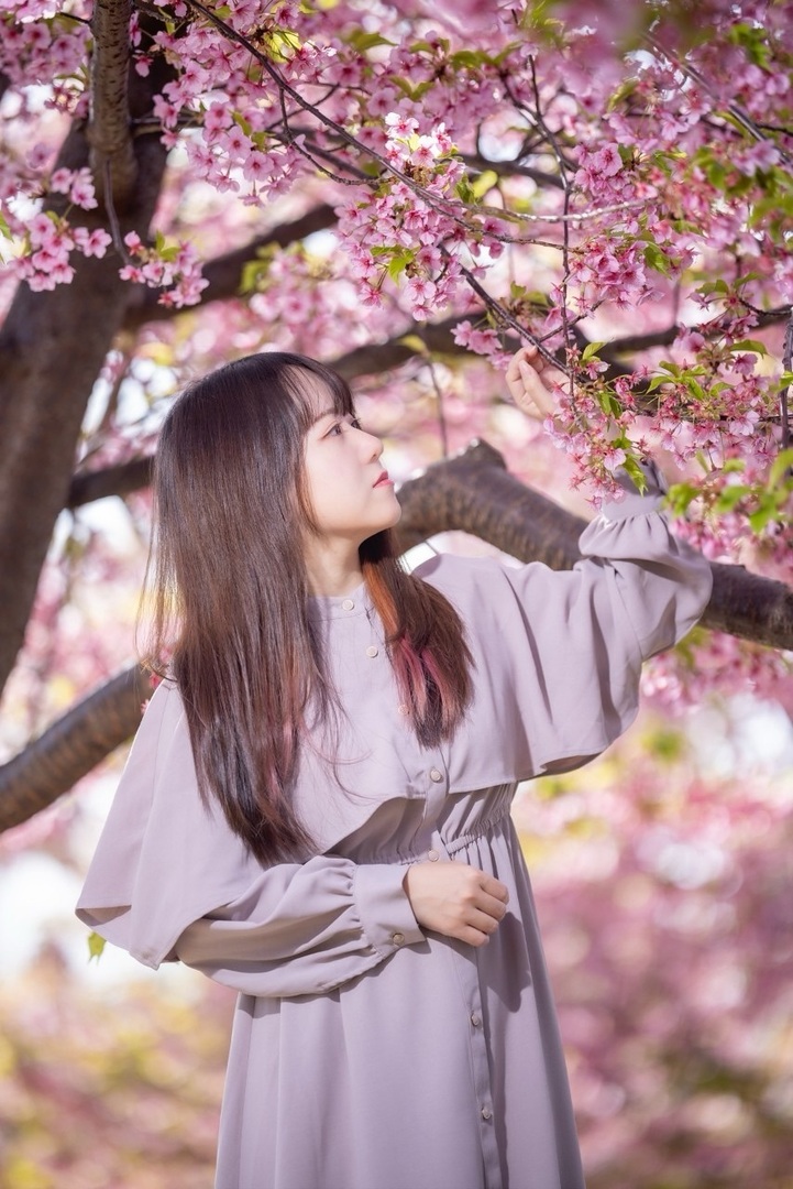 Thumb 5b948f1e 52e1 40fc b229 e12ed4bdcc0b