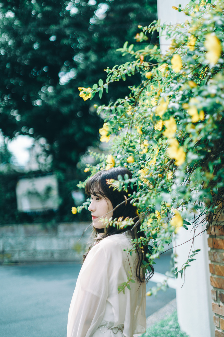 Thumb 96f9661b 9ff7 4b0b 98c7 04c69020c80e