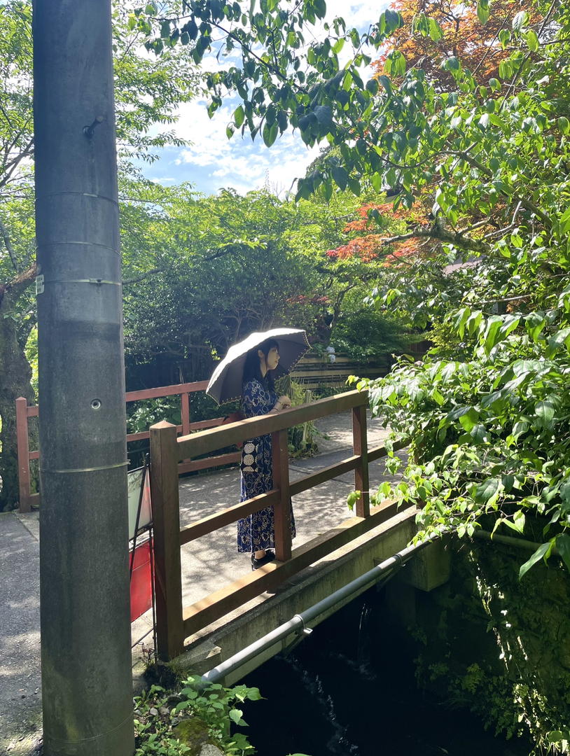 Thumb 01b6325a 9fef 4fd9 b6fc 1c1a45270eb6