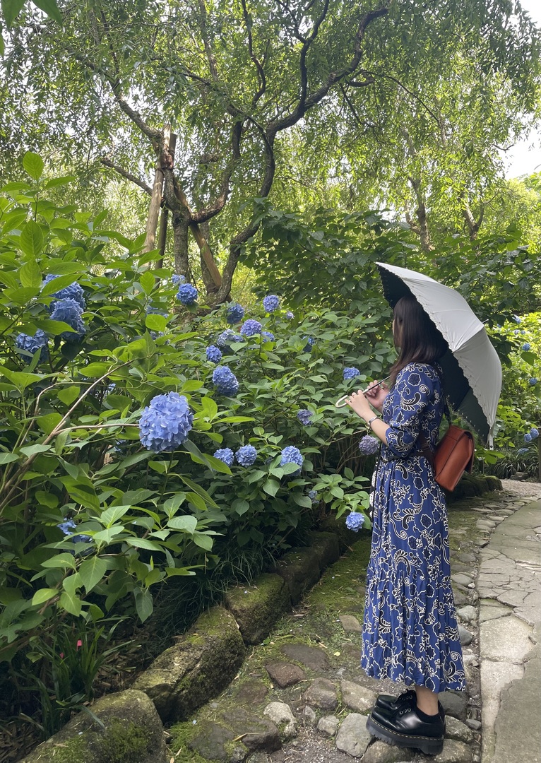 Thumb bac27e8a 221b 4258 8533 7a8f8a673986