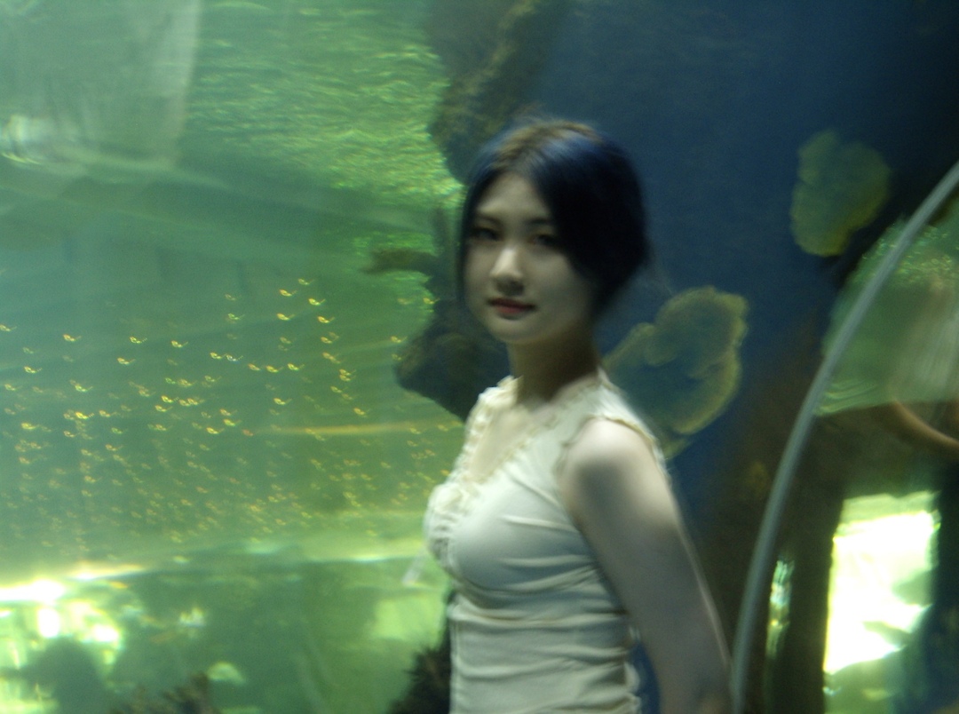 Thumb cdab514d 47bd 4c06 a285 121348352517