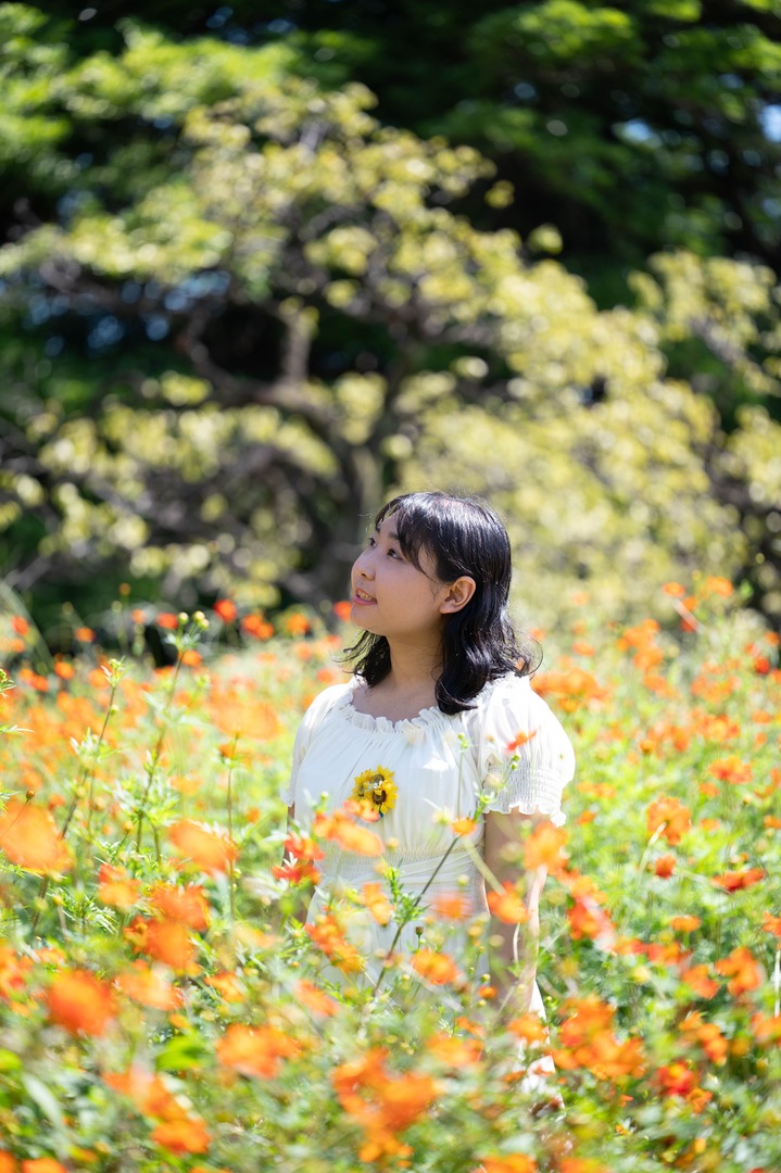 Thumb b45d3689 51d2 4f3f b090 f2e2a9b1dcf7