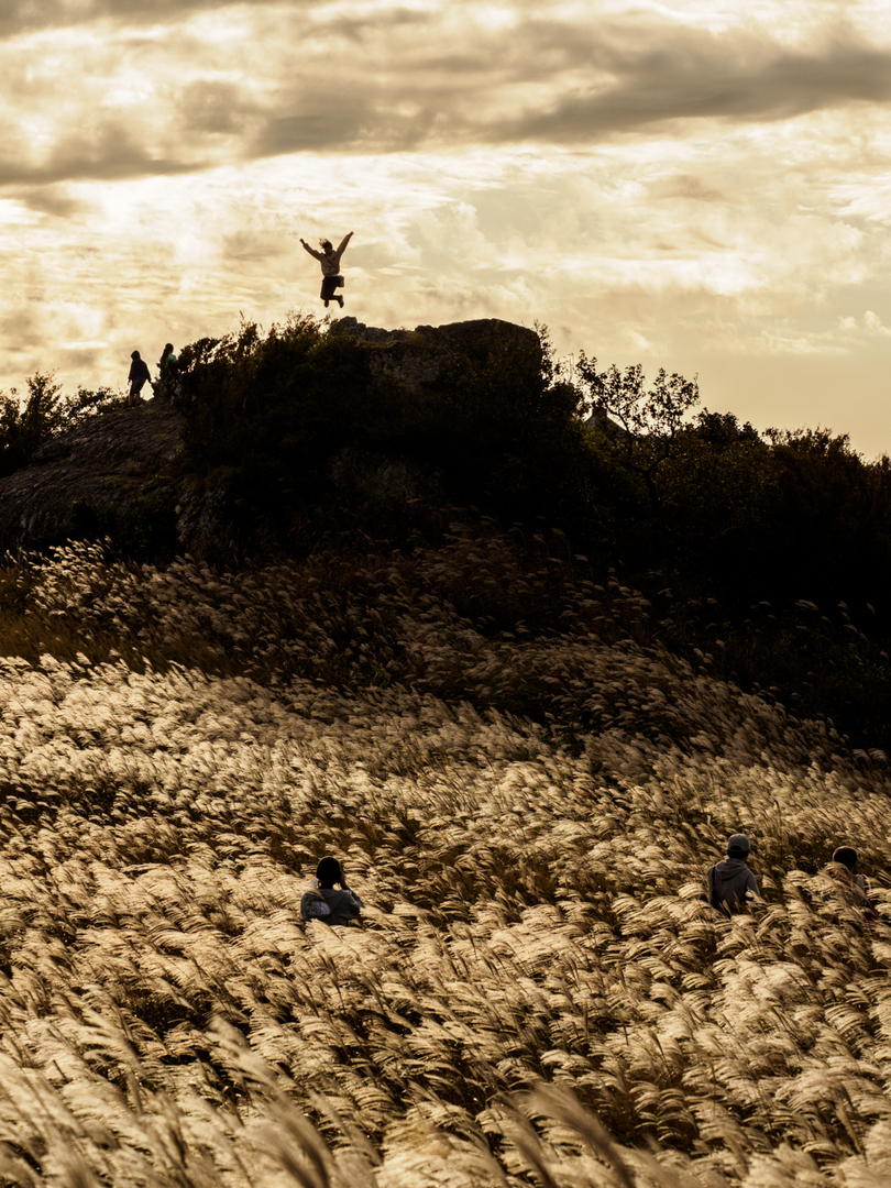 Thumb 38a49d77 04c4 4297 a817 ec15cafed894