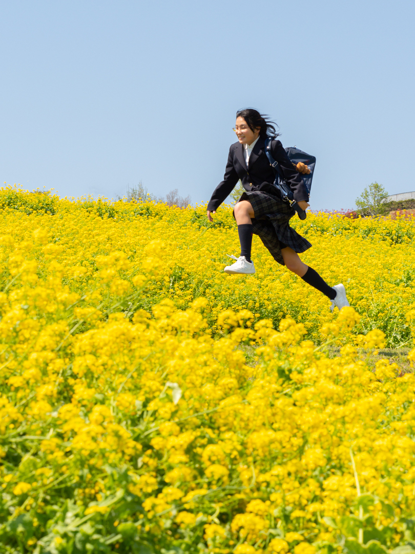 Thumb 4eea5043 5a54 4621 b9e5 cdf3bcea944d