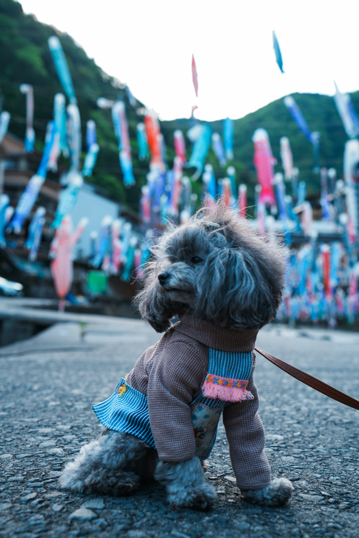 Thumb 3c59fa41 18f0 4208 8c92 65ff9d6de227