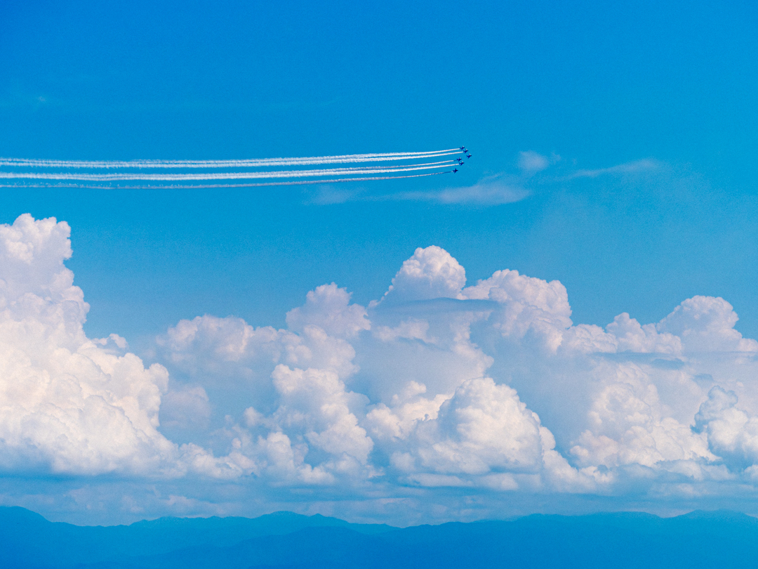 Thumb 51510940 9fe1 4dce 9d39 f3a266f3445a