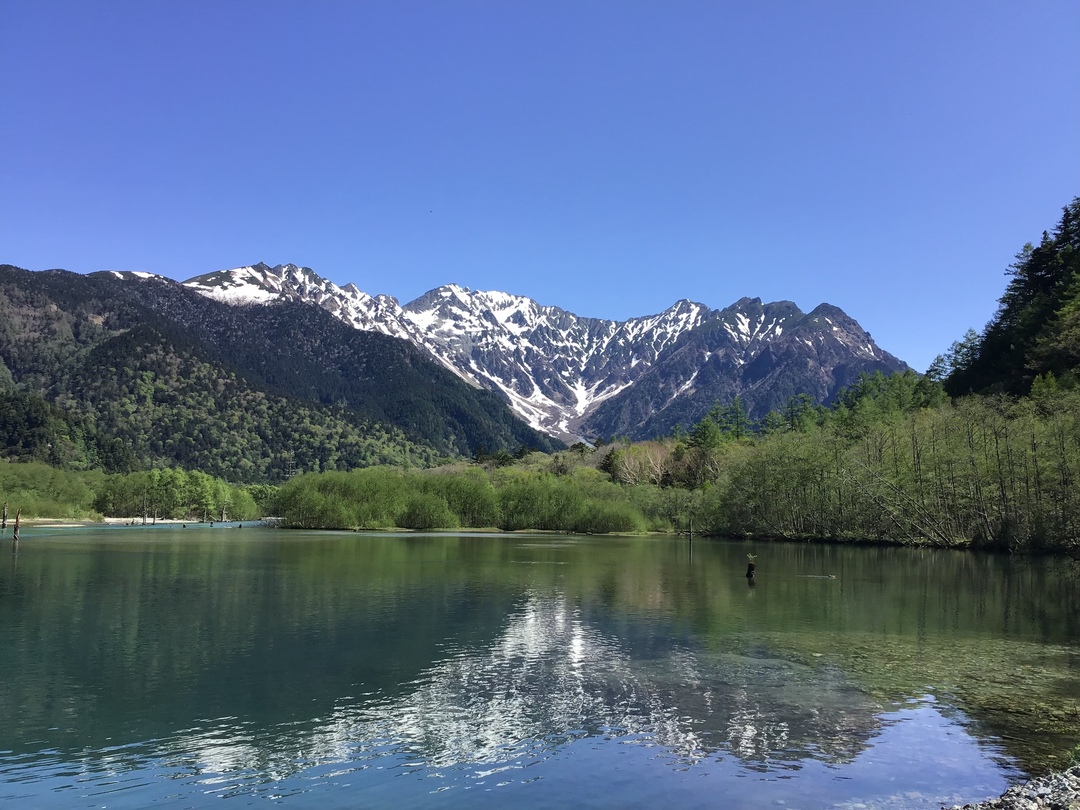 Thumb f7e179c0 9b14 4ee8 80b8 9a92f87c9ca9