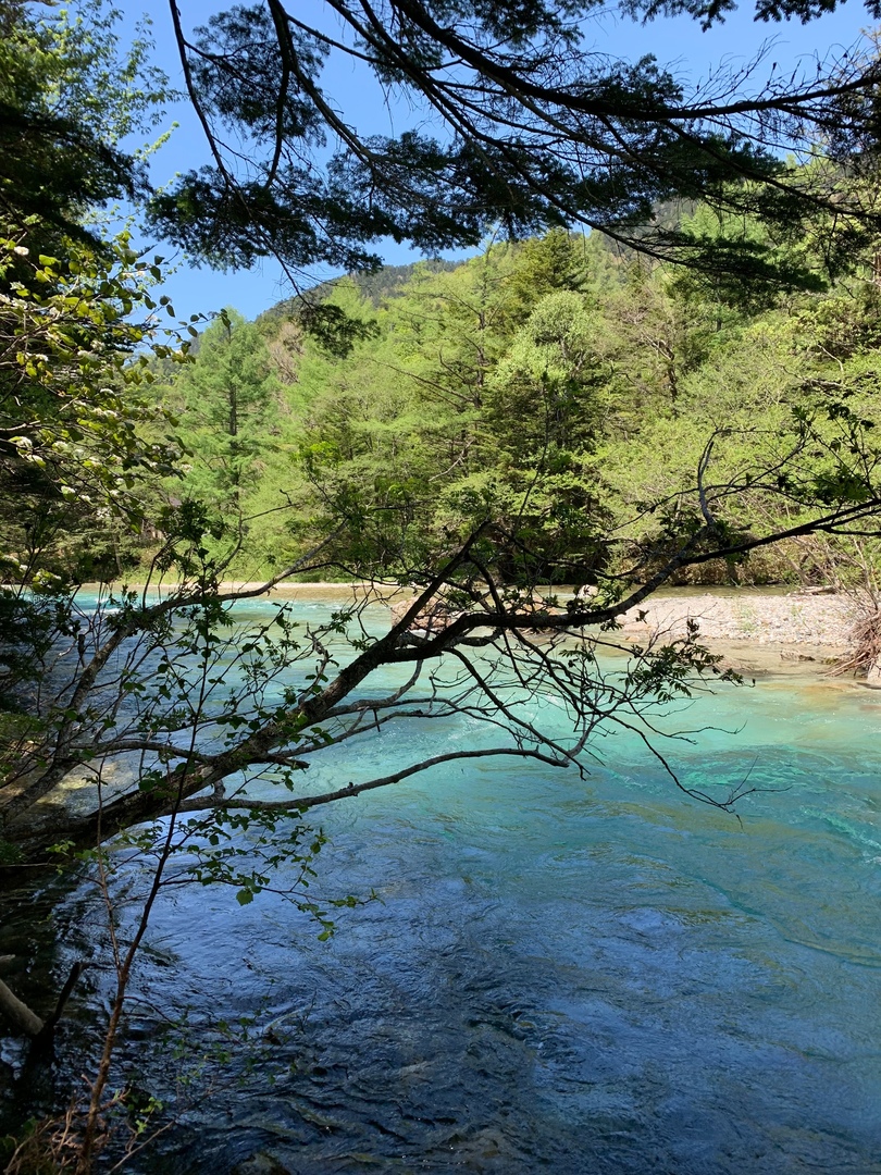 Thumb 1c638c24 23dc 4c1e a012 937c44679744