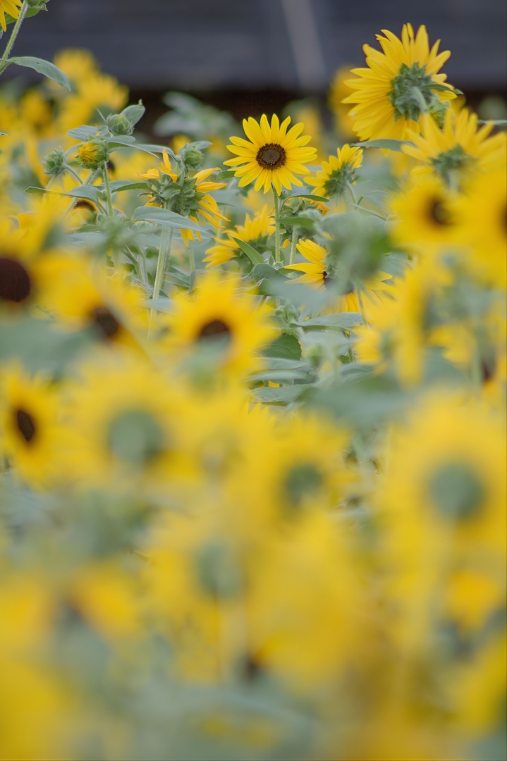 Thumb 859f2d35 7df7 4696 98cd 9a63a4bc2e4f