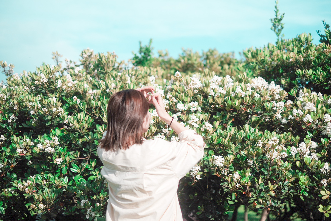 Thumb 8939d086 206d 41d0 a4ca f8e346ed66e6