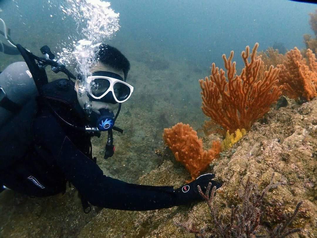 Thumb 82f9334c 3d4a 45cc afb8 34e568bd636a