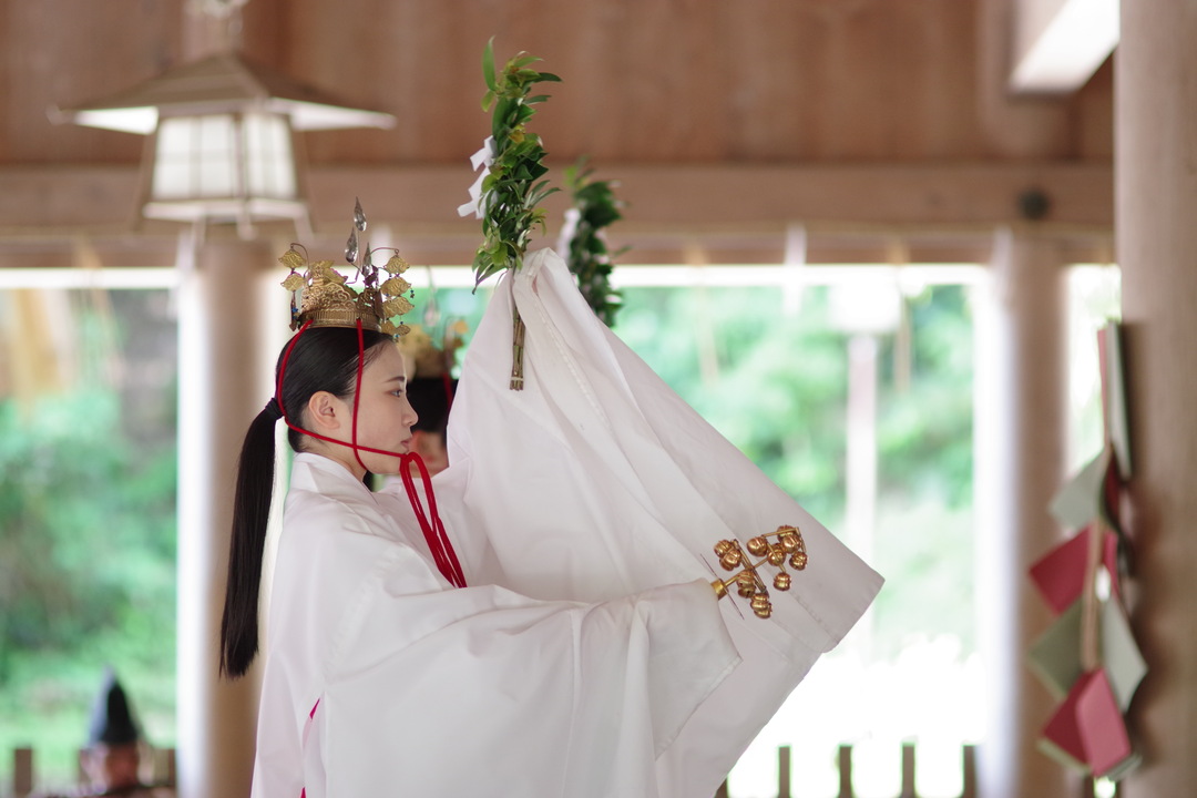 Thumb 25db562b beb8 4950 aa28 ee50da4cd59b