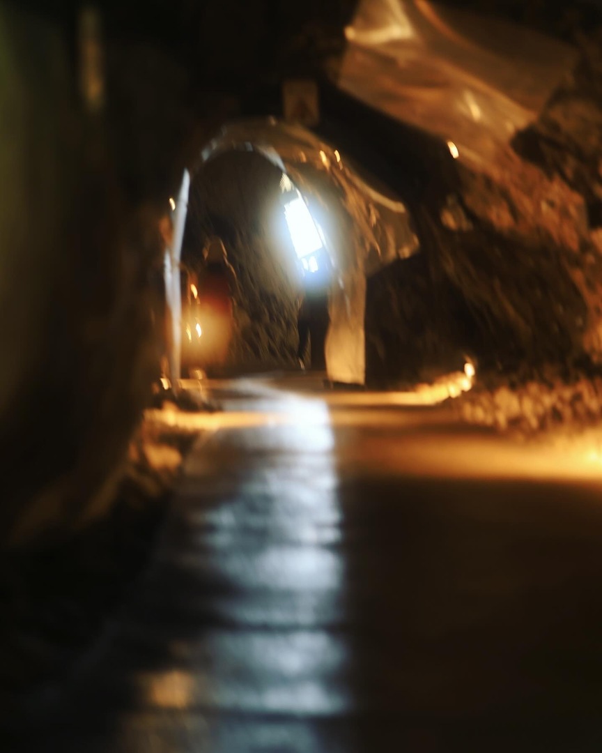 Thumb afbb4776 893a 4d3d 8c53 06e1fb4488c6