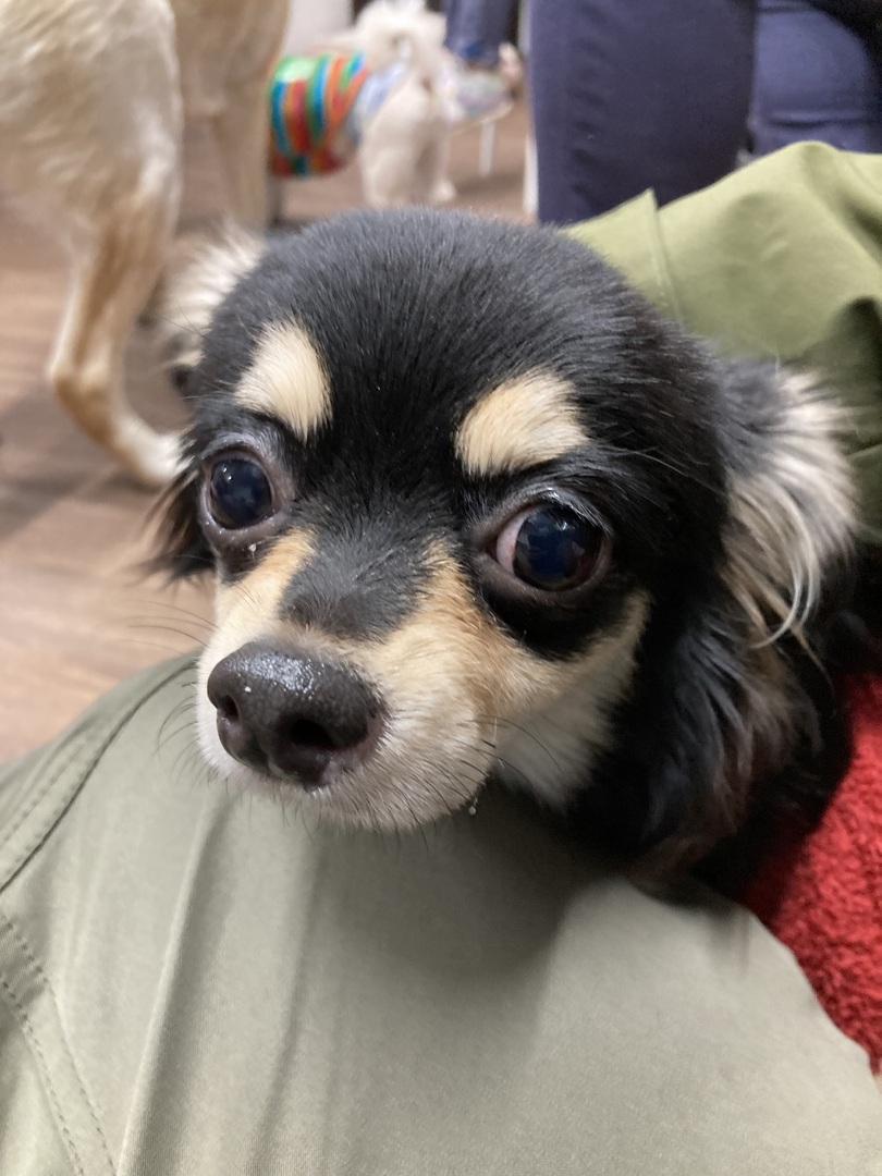 Thumb 6c6973a0 3379 4670 84c5 95fd036cebb9