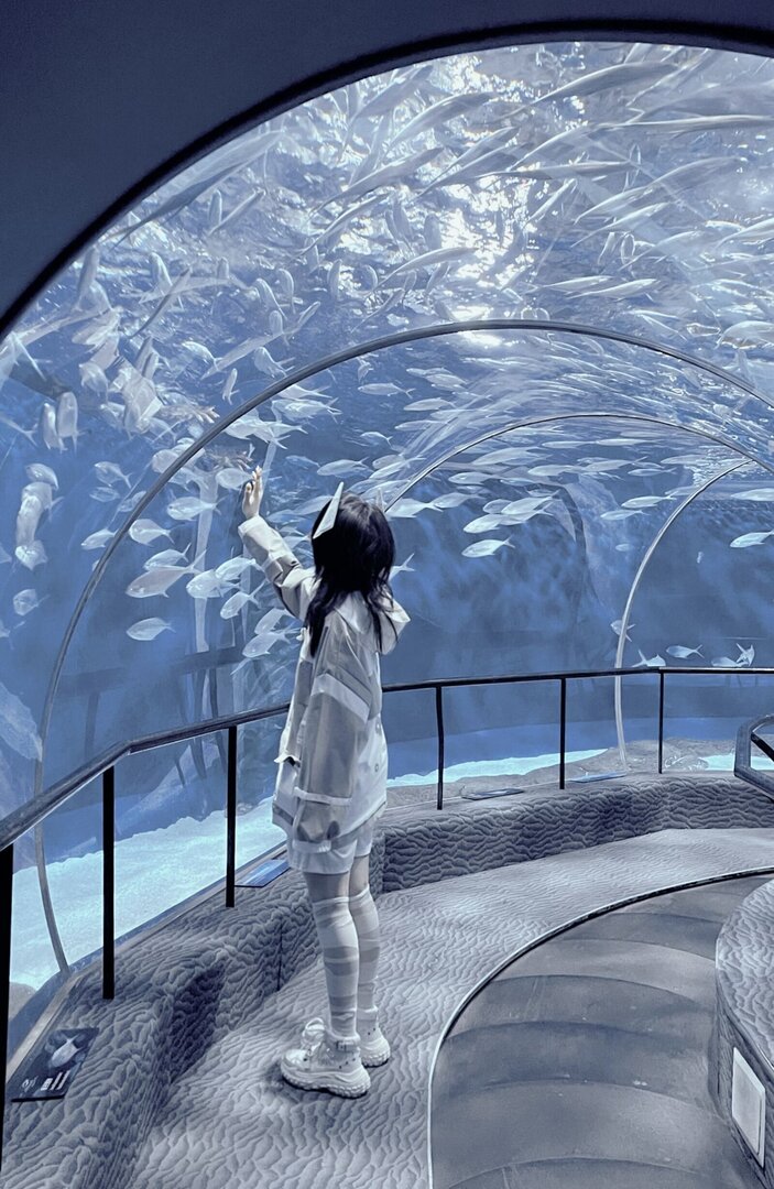 Thumb fdd3dac0 4dab 426b abf4 731a0ae668fe